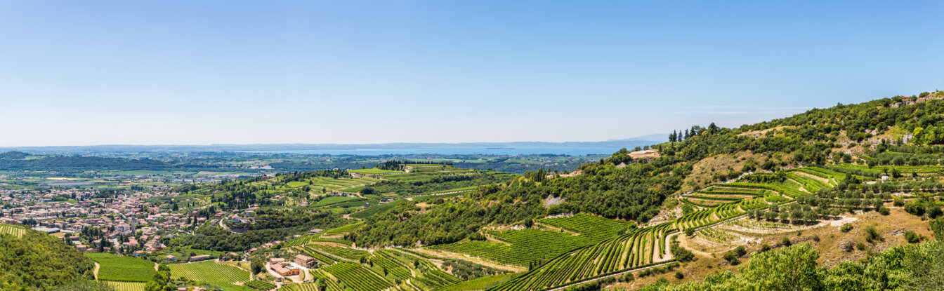 Panorama valle Illasi